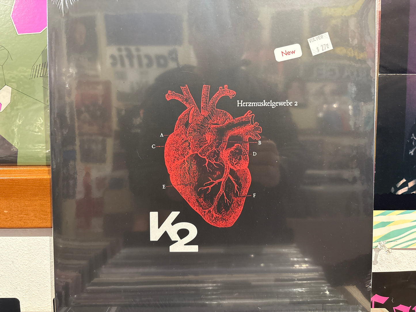 K2 - herzmuskelgewebe 2