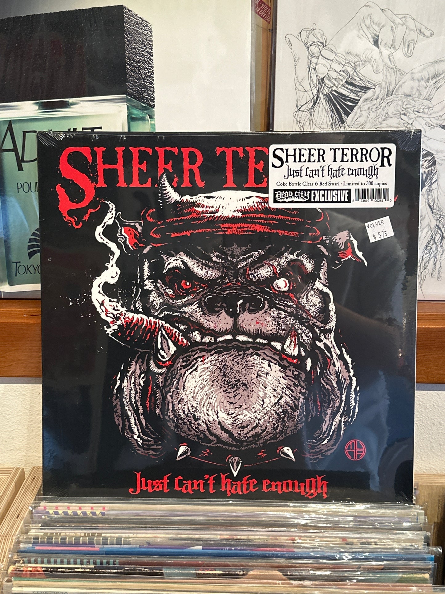 Sheer Terror - Just Can't Hate Enough