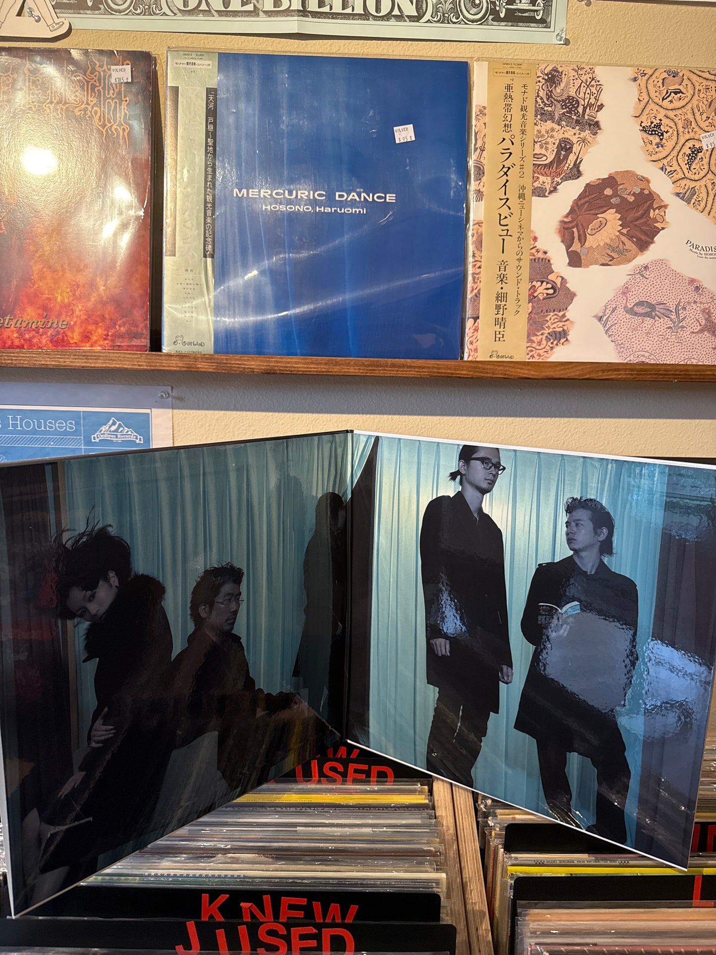 Tokyo Jihen Incidents Adult Sheena Ringo