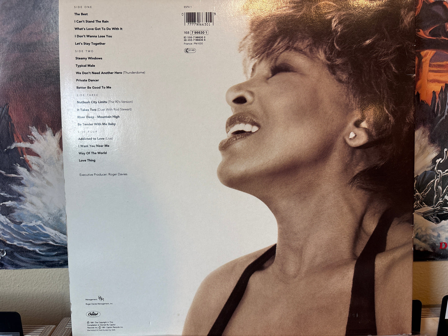 Tina Turner - Simply The Best