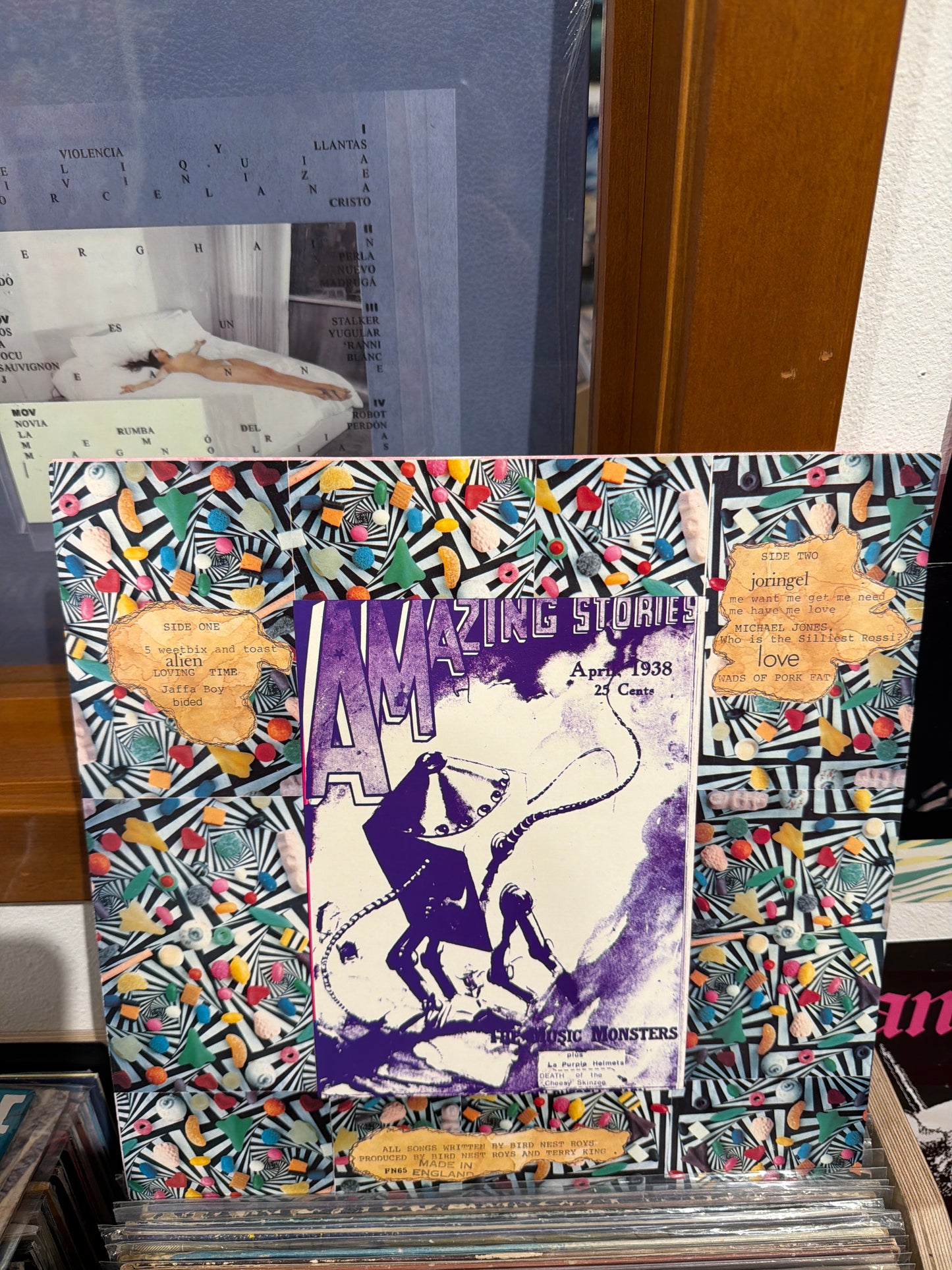 Bird Nest Roys - 1st Album