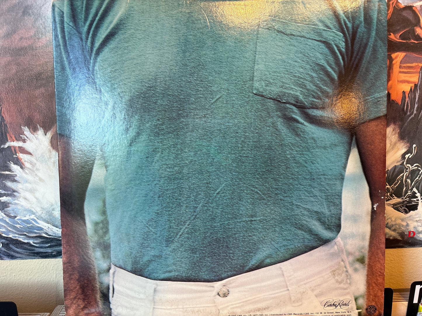 Dennis Wilson - Pacific Ocean Blue