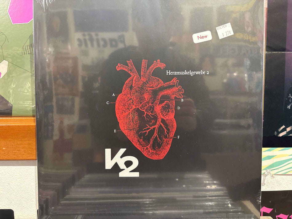 K2 - herzmuskelgewebe 2