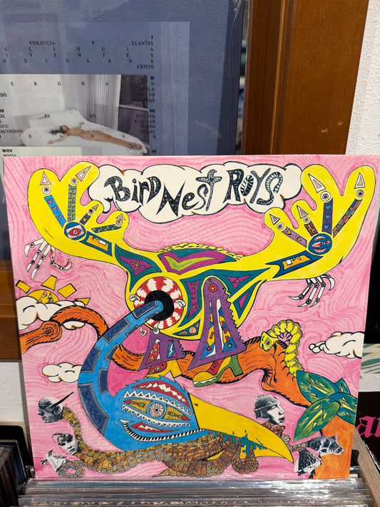 Bird Nest Roys - 1st Album