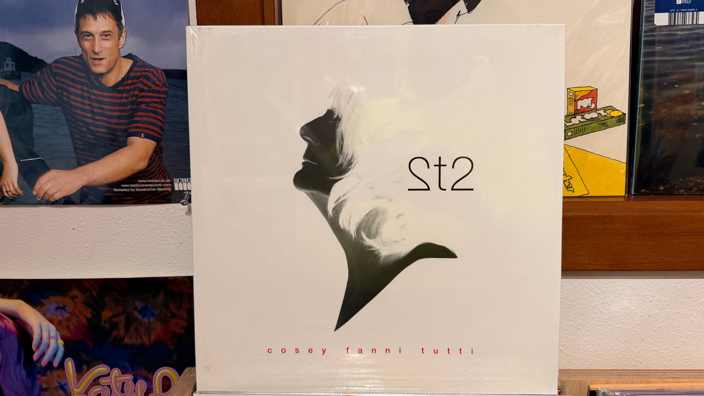 Cosey Fanni Tutti - 2t2