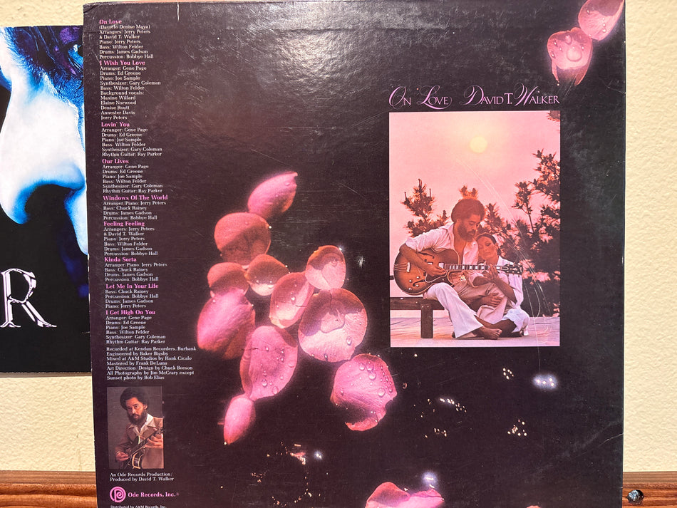 David T. Walker - On Love