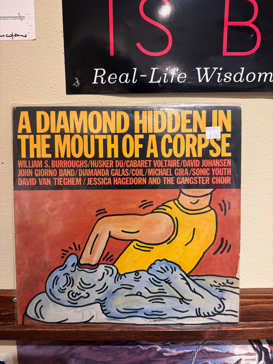 V/A - A Diamond Hidden In The Mouth of a Corpse (Keith Haring, Coil, Diamanda) Vinyl LP