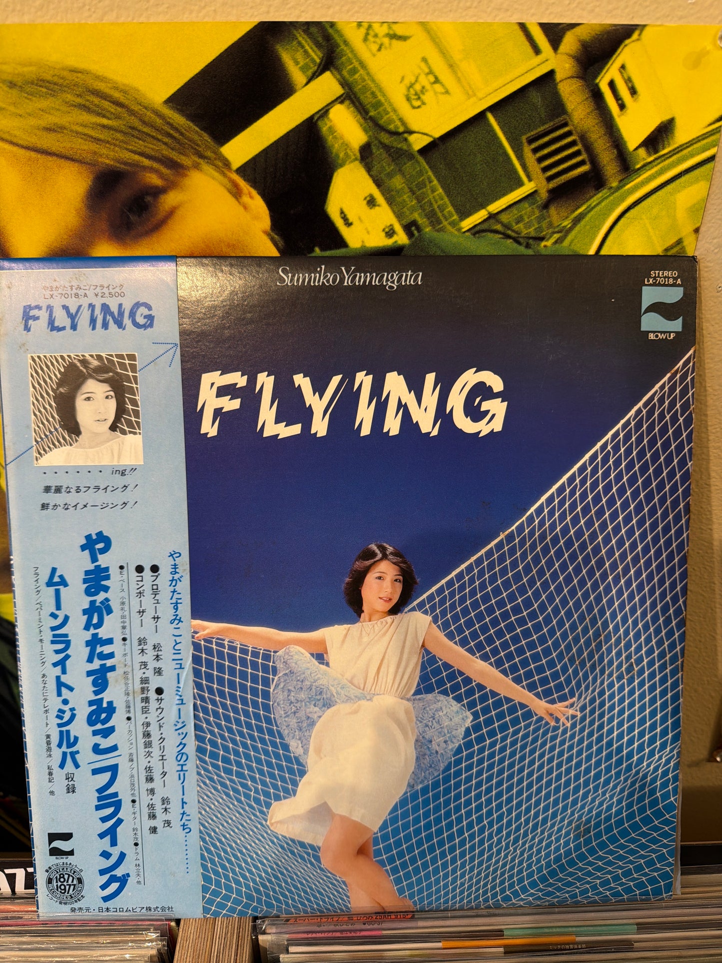 Sumiko Yamagata - Flying