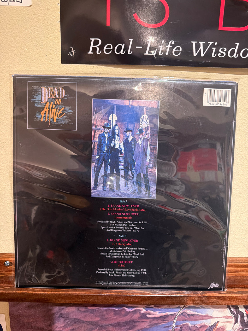 Dead or Alive - Brand New Lover 12” US (Vinyl LP)