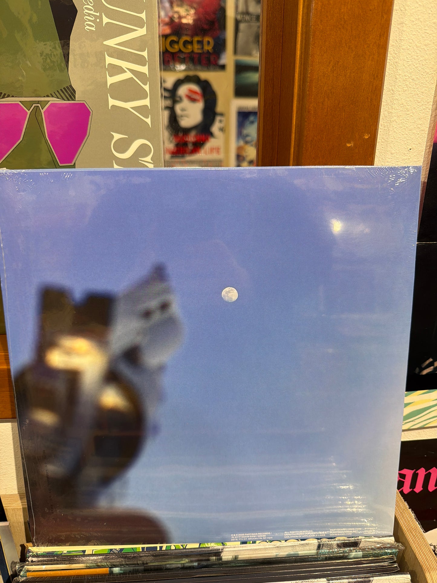 Geese - Getting Killed (Clear)