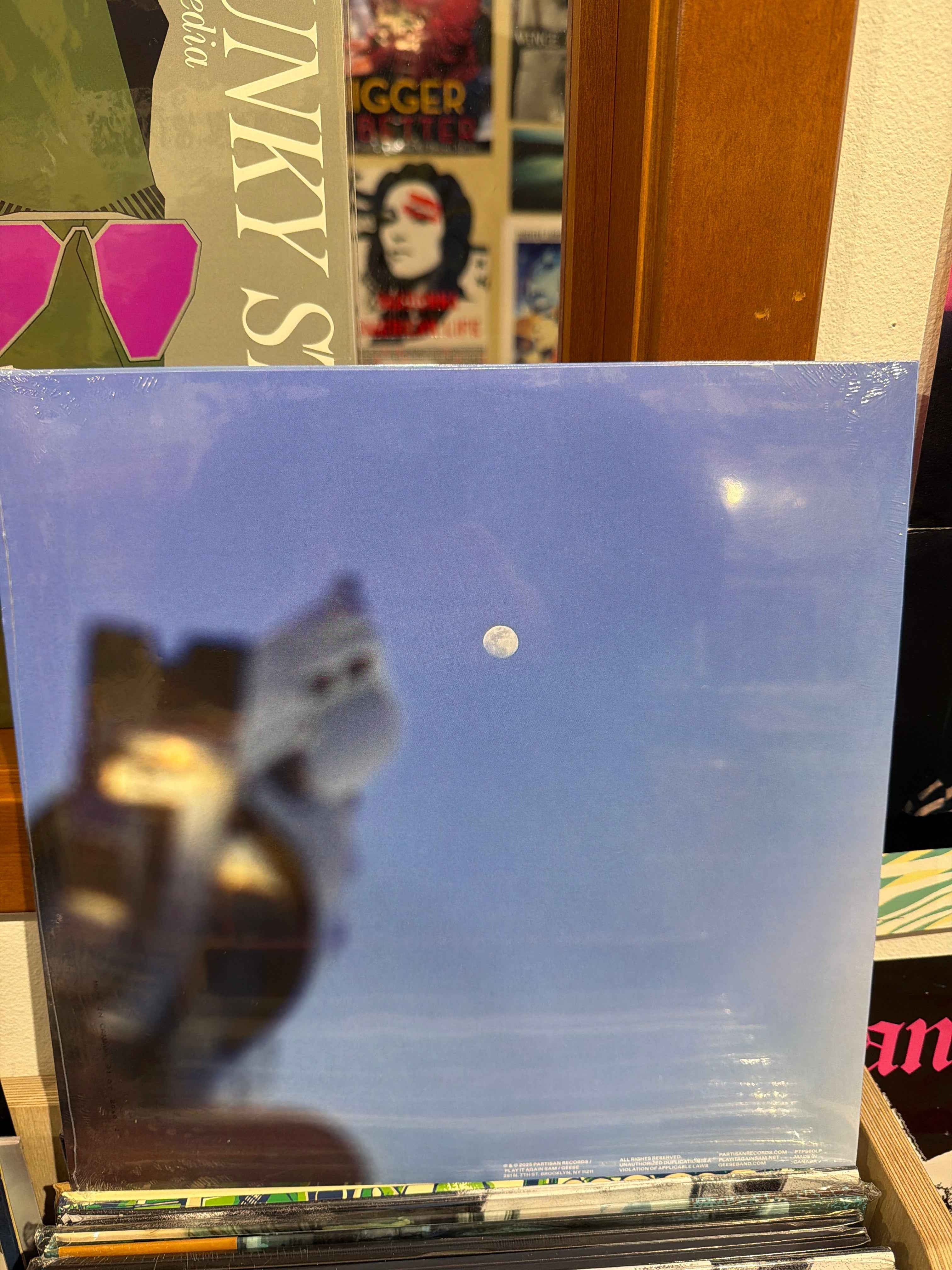Geese - Getting Killed (Clear)