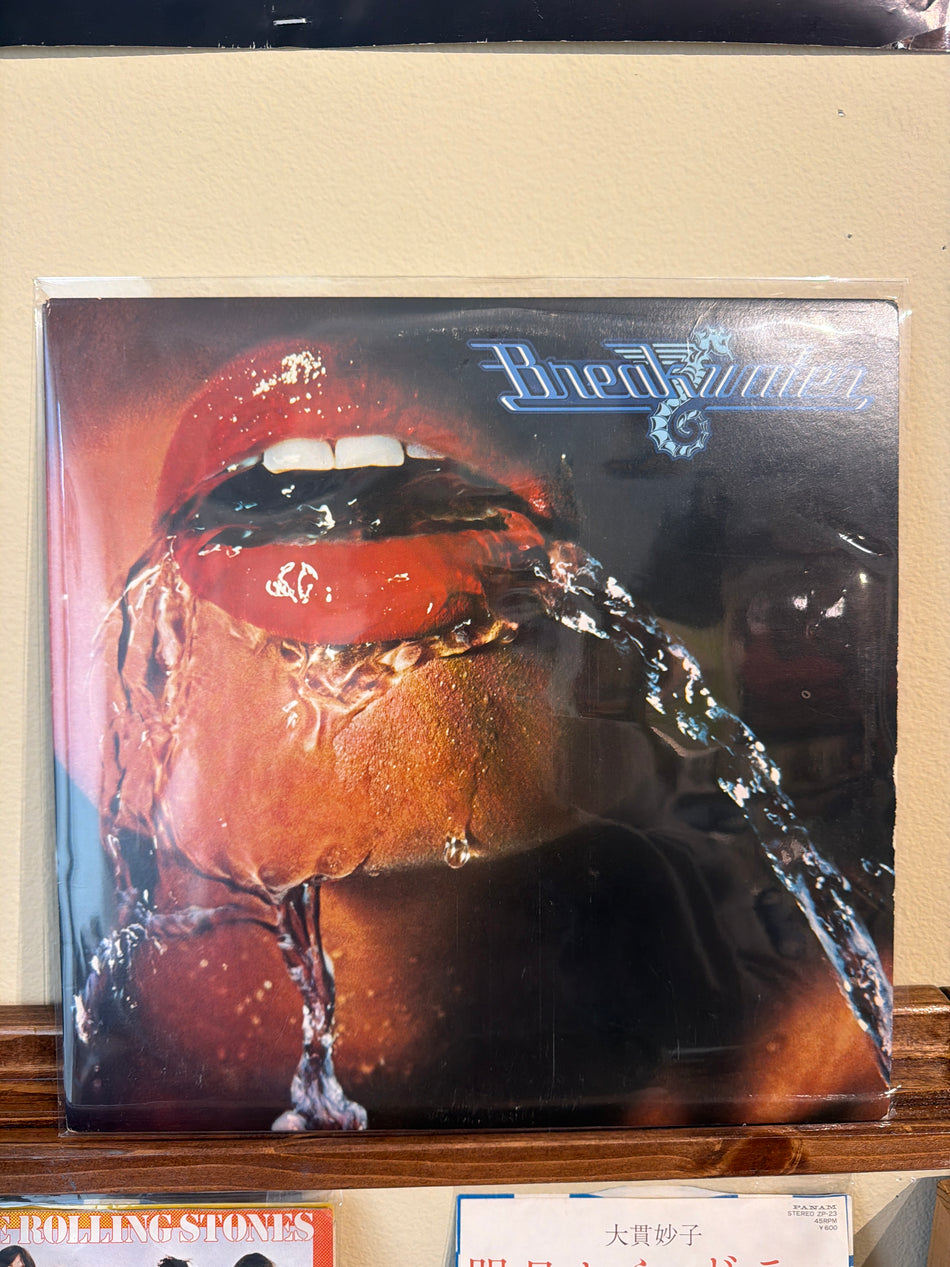 Breakwater - Breakwater (US Vinyl LP)