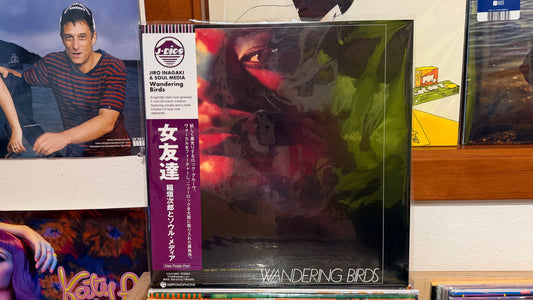 Soul Media - Wandering Birds