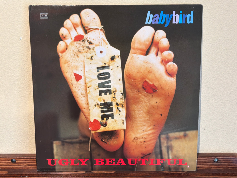Babybird - Ugly Beautiful