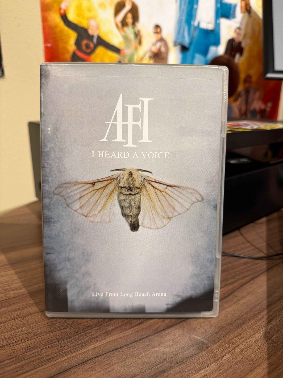 AFI - I Heard A Voice