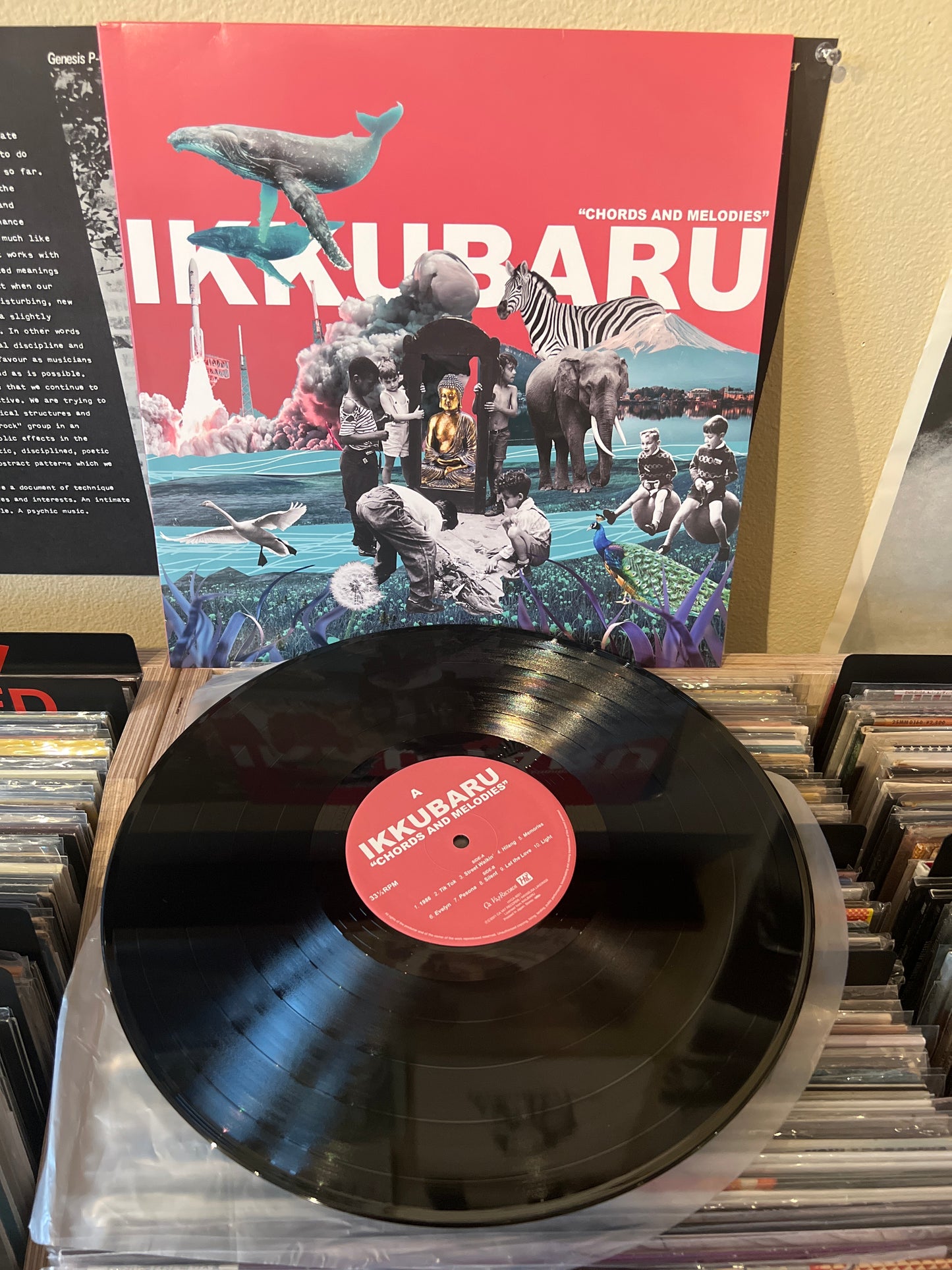Ikkubaru- Chords and Melodies