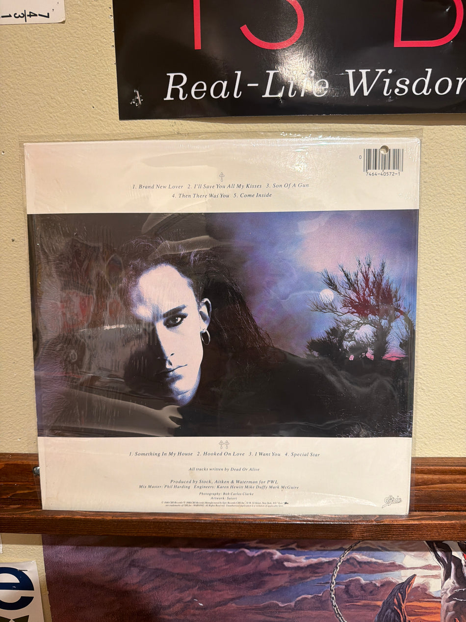 Dead or Alive - Mad, Bad, and Dangerous to Know (Vinyl LP)