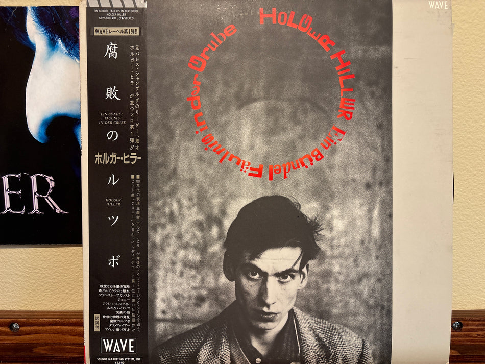 Holger Hiller - Ein Bündel Fäulnis In Der Grube = 腐敗のルツボ