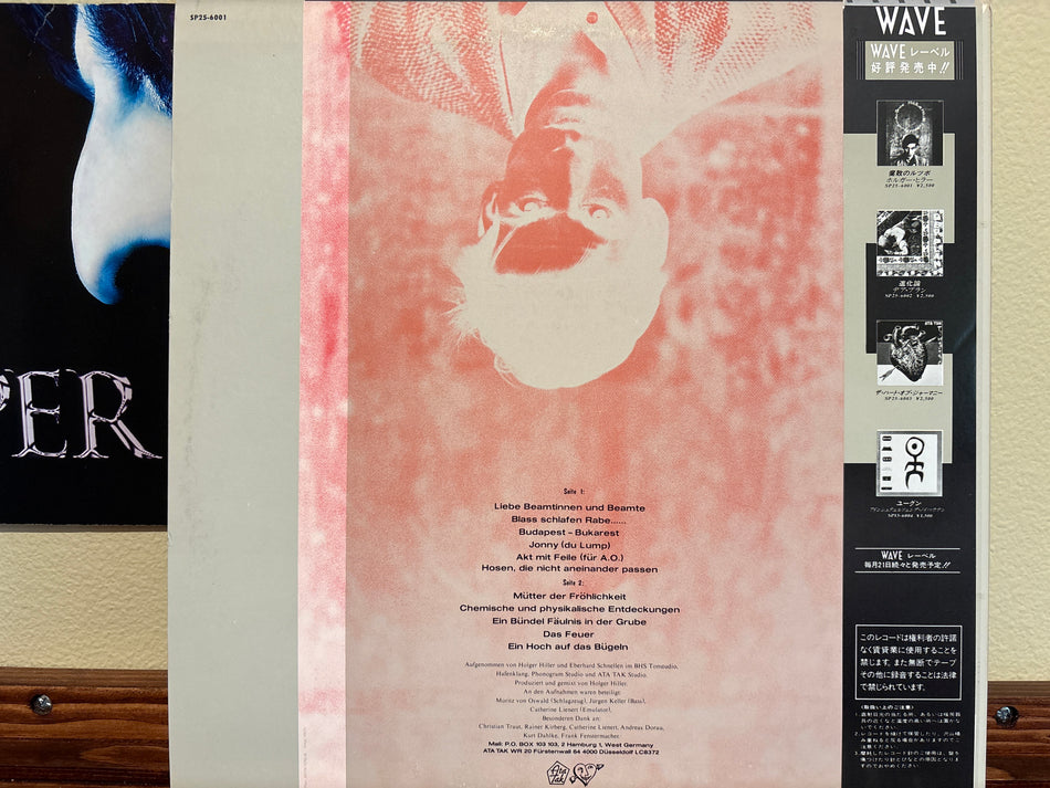 Holger Hiller - Ein Bündel Fäulnis In Der Grube = 腐敗のルツボ