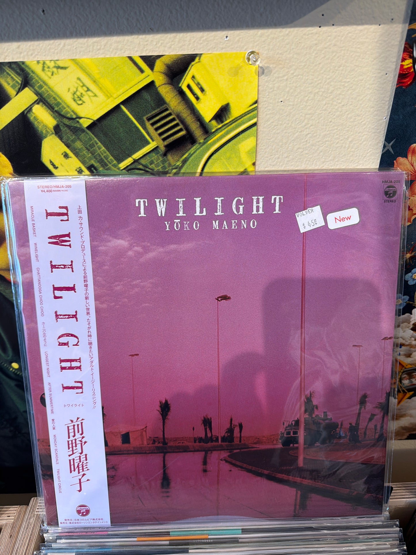 Yoko Maeno- Twilight