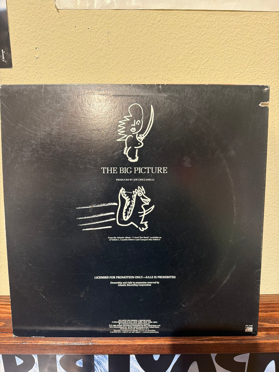 Y Kant Tori Read (Tori Amos) - The Big Picture 12”