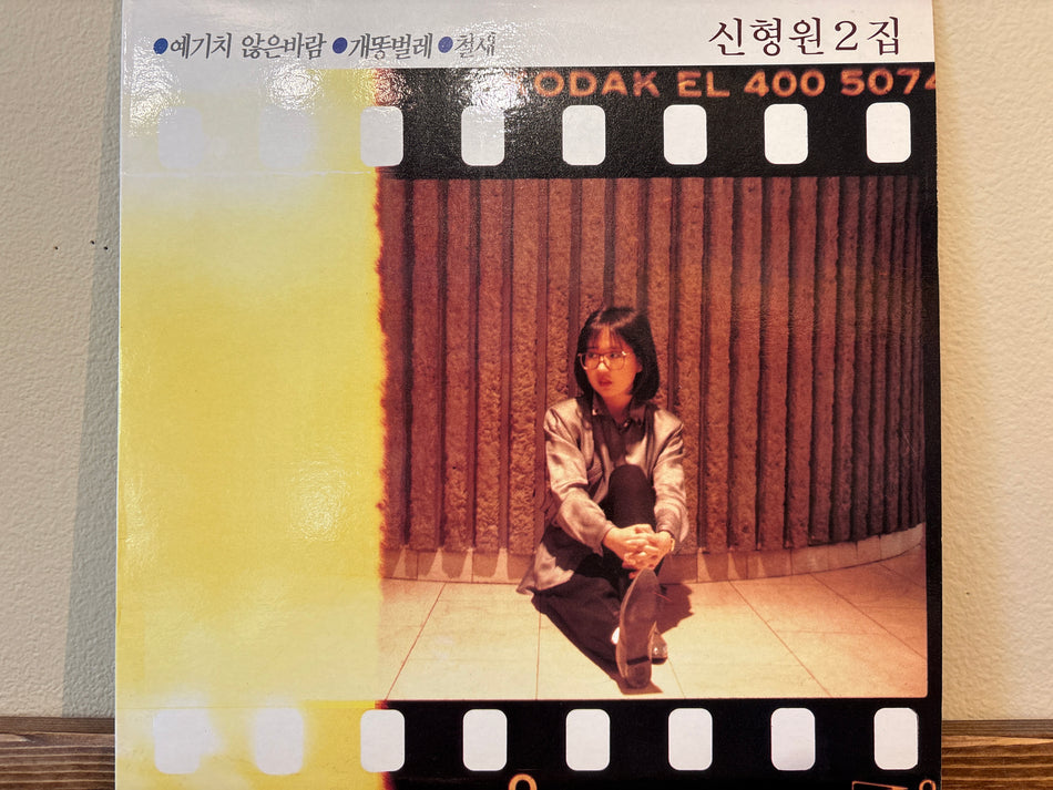 신형원 - 2집(예기치 않은 바람/개똥벌레/철새)
