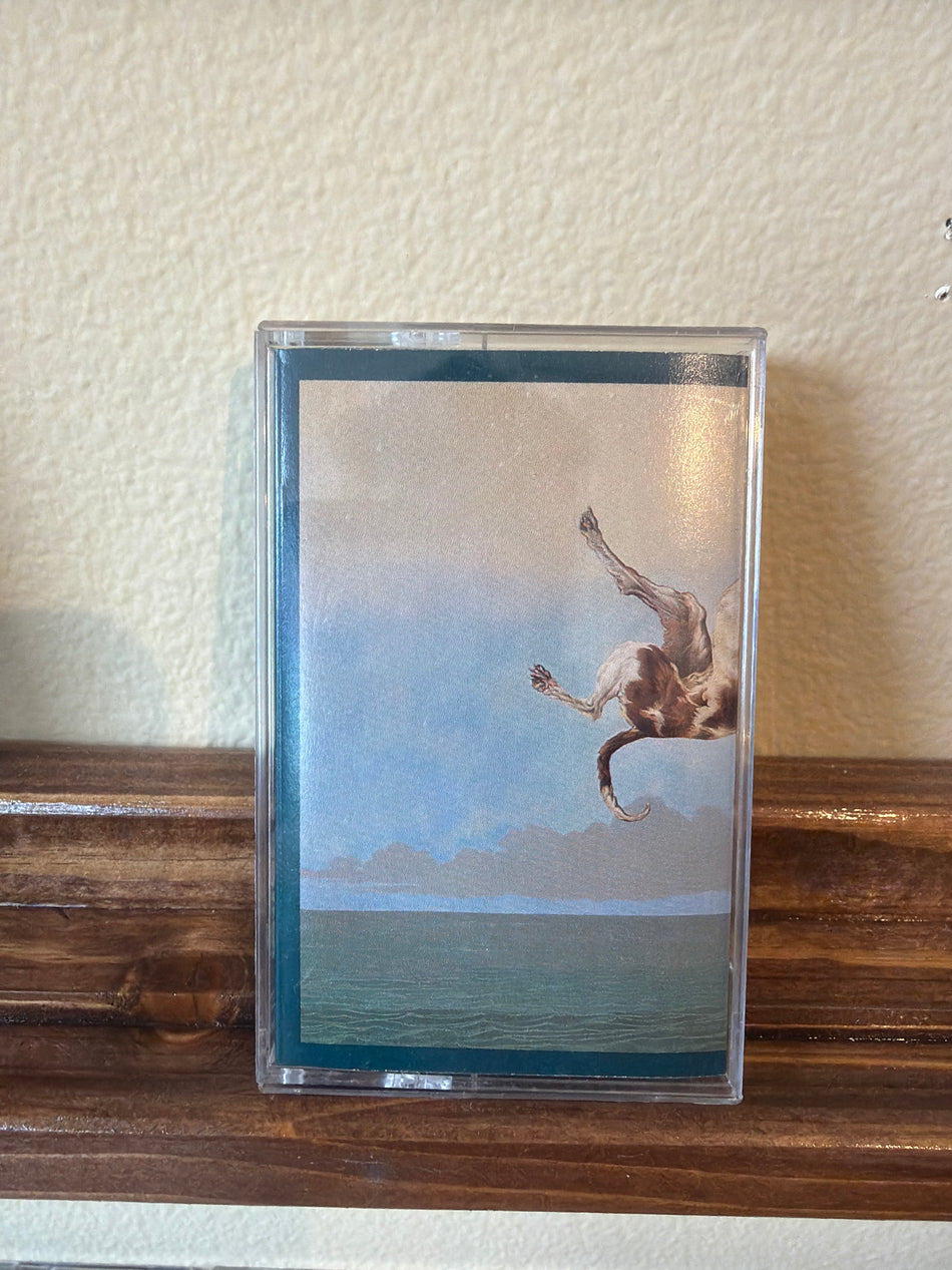 The Jesus Lizard - Down (Cass)