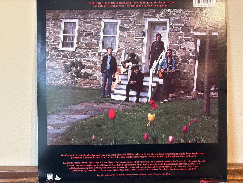 The Feelies - Only Life