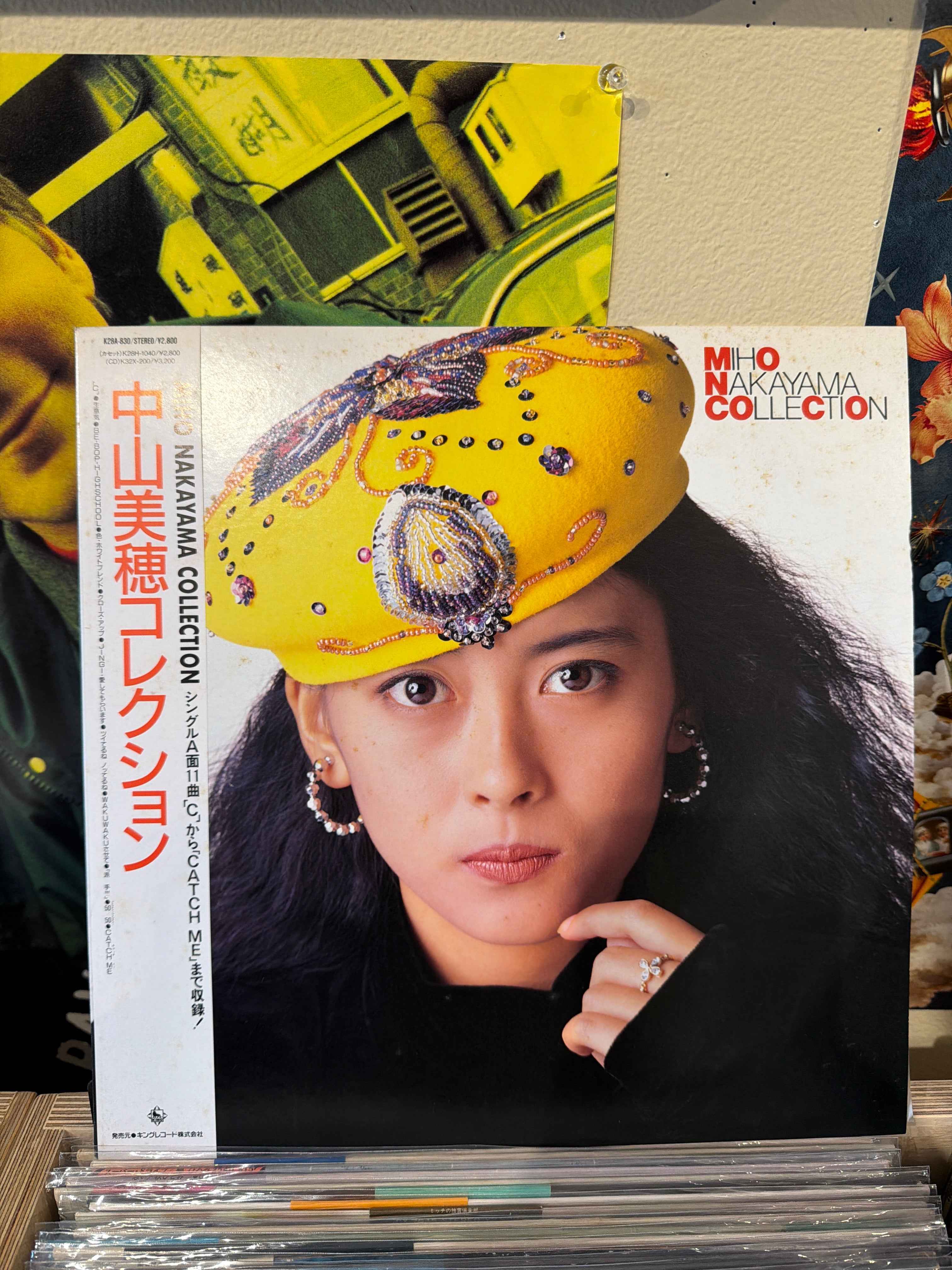 Miho Nakayama - Collection