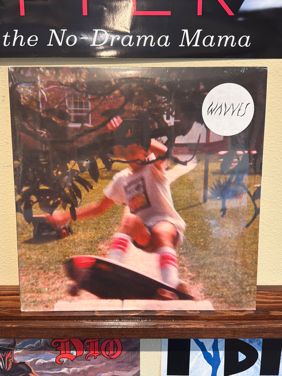 Wavves - Wavves