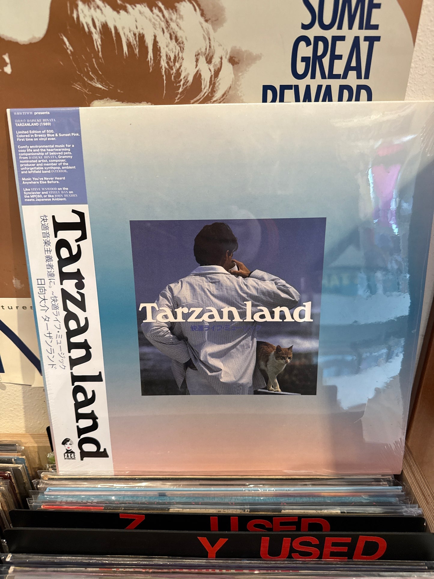 Daisuke Hinata - Tarzanland