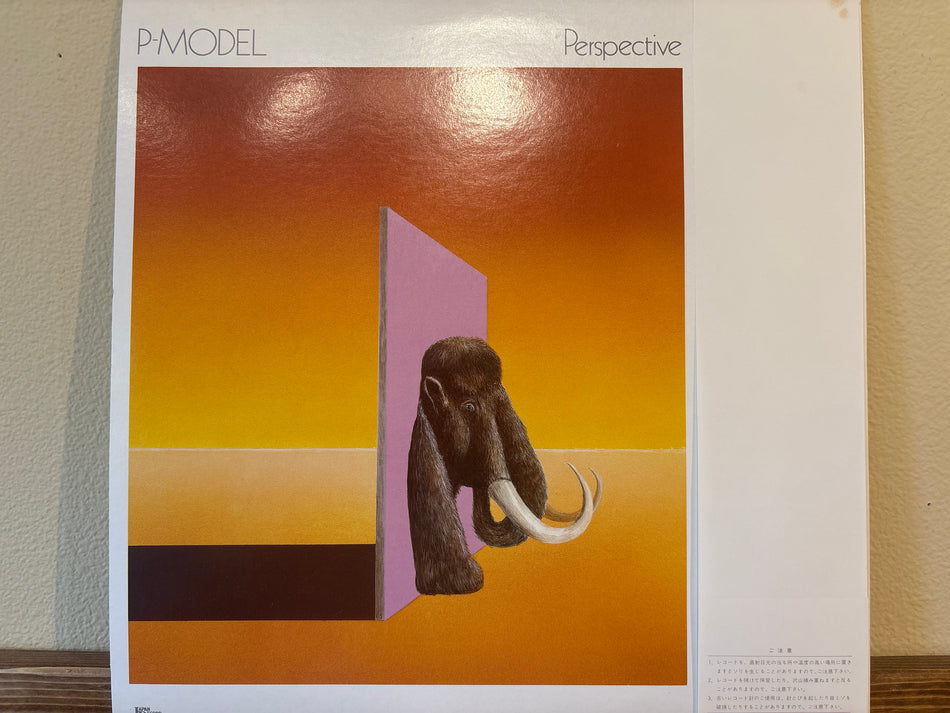 P-Model - Perspective