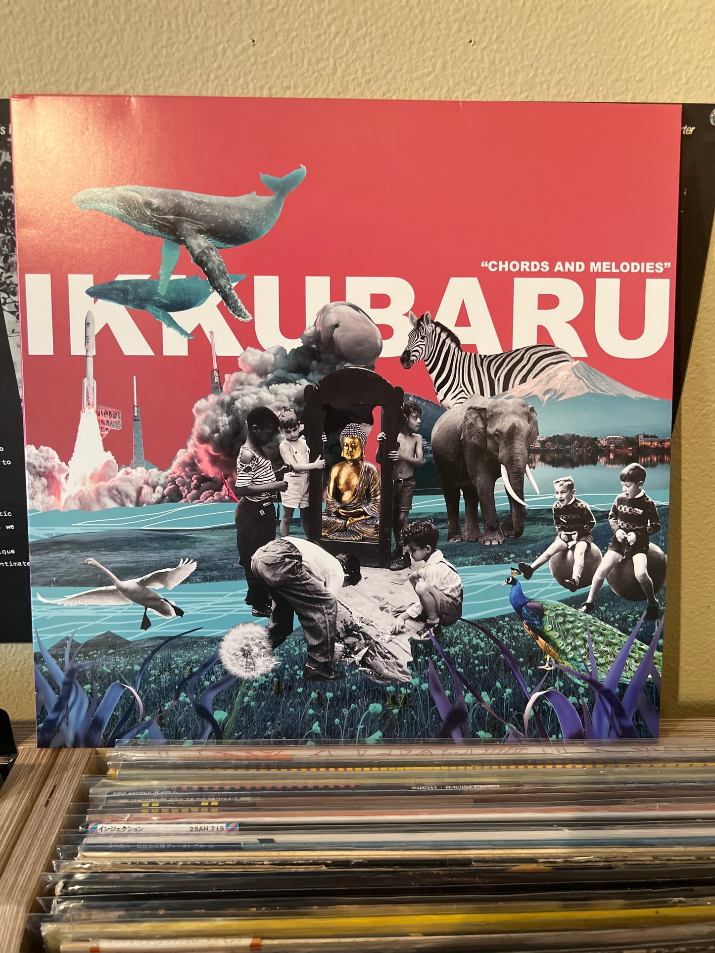 Ikkubaru- Chords and Melodies