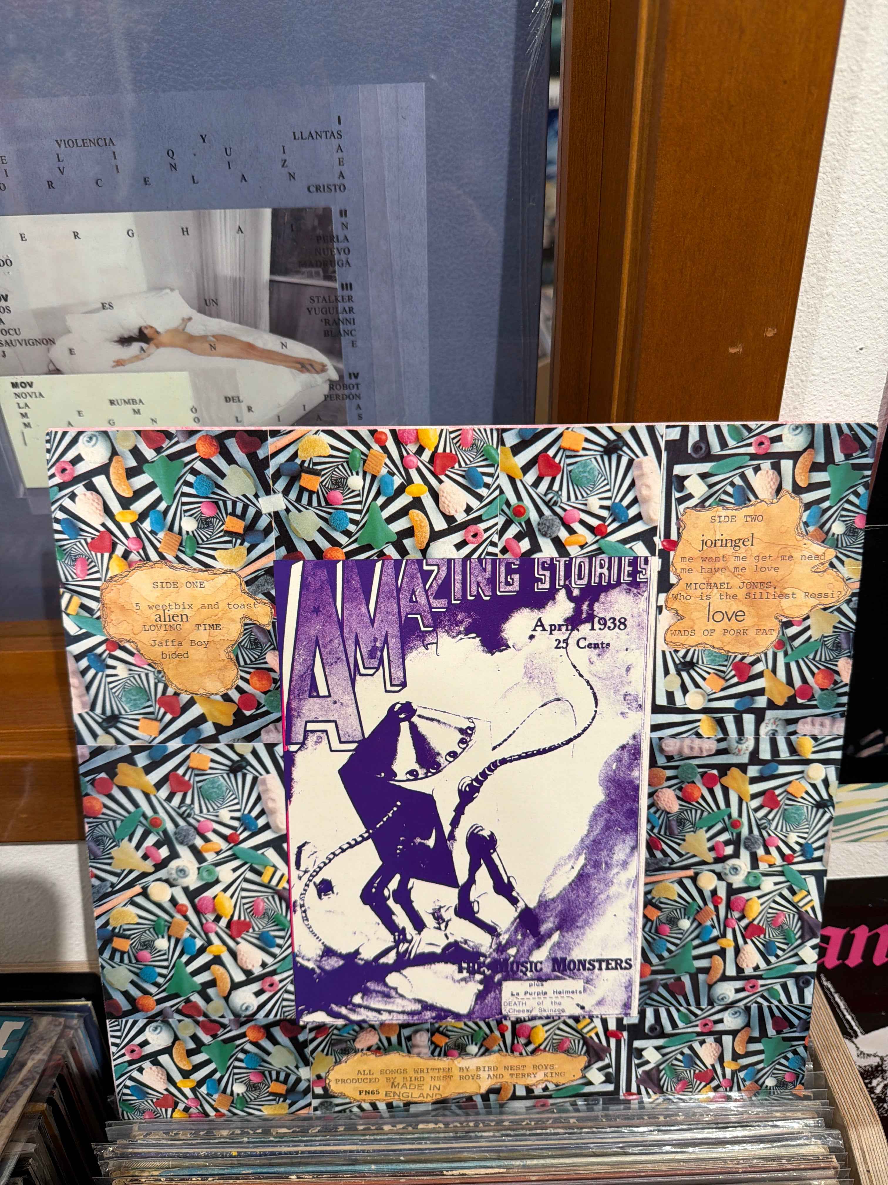 Bird Nest Roys - 1st Album