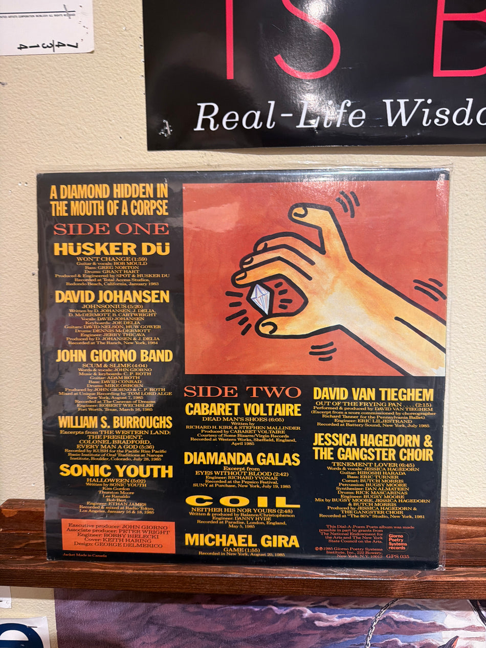 V/A - A Diamond Hidden In The Mouth of a Corpse (Keith Haring, Coil, Diamanda) Vinyl LP