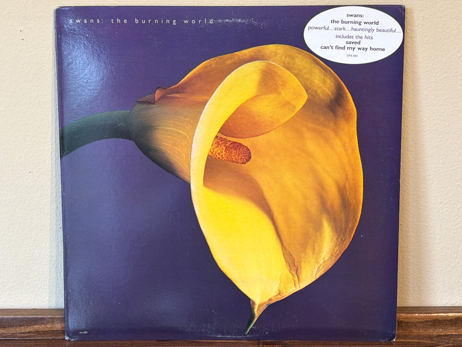 Swans - The Burning World