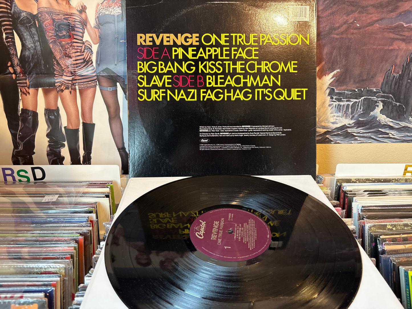 Revenge - One True Passion