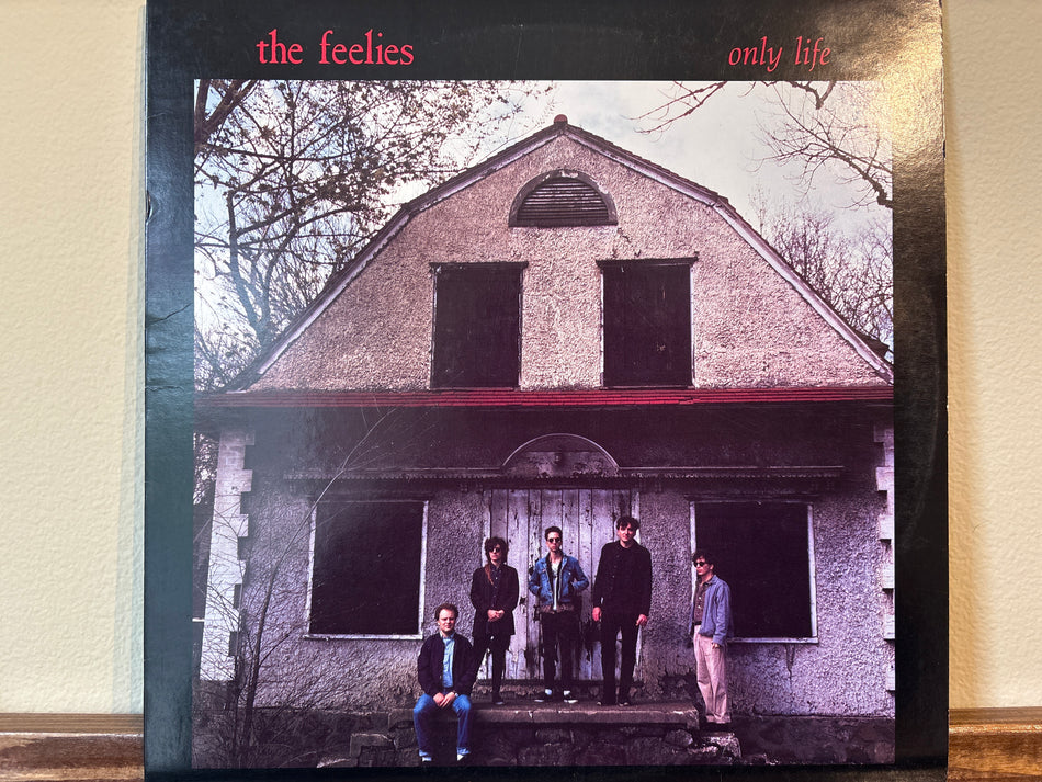 The Feelies - Only Life