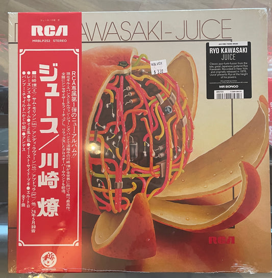 Ryo Kawasaki - Juice