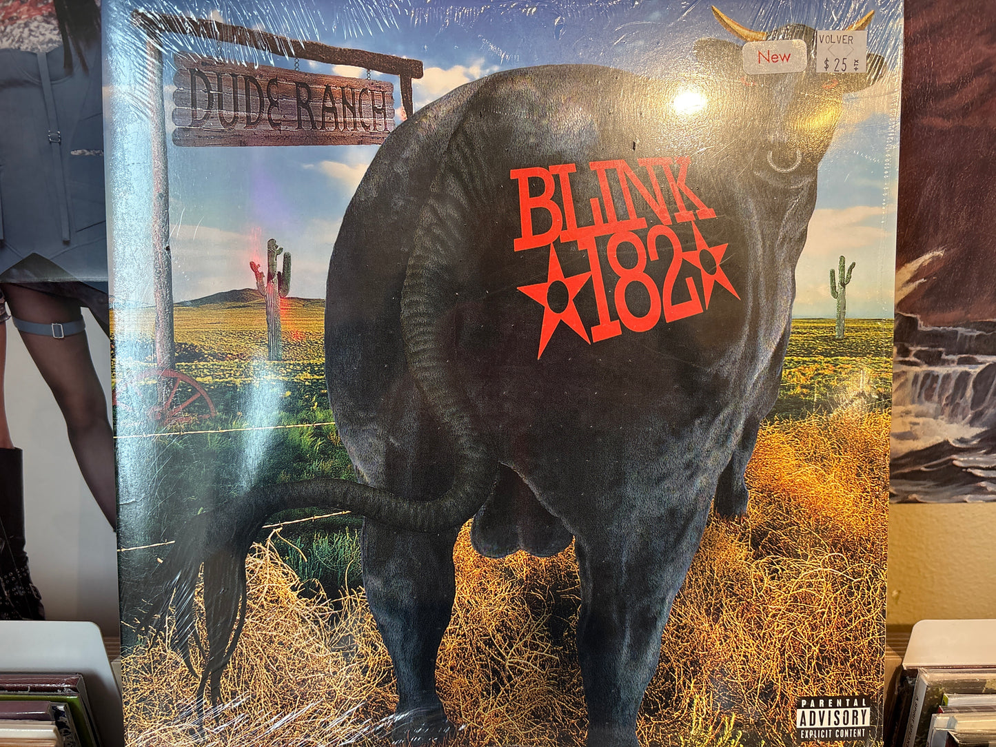 Blink 182 - Dude Ranch