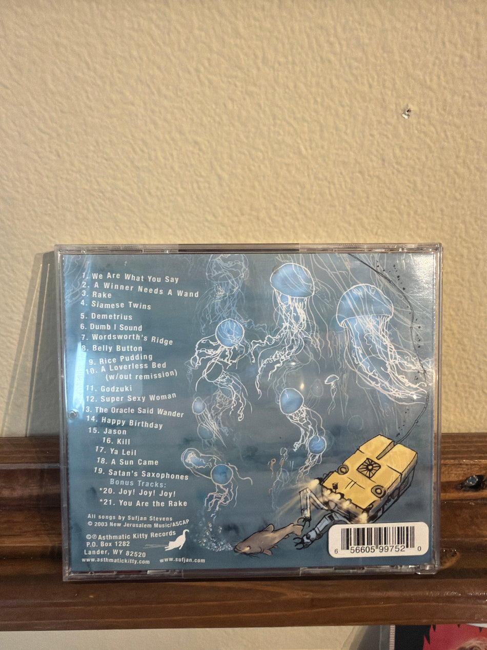 Sufjan Stevens - A Sun Came! (CD)