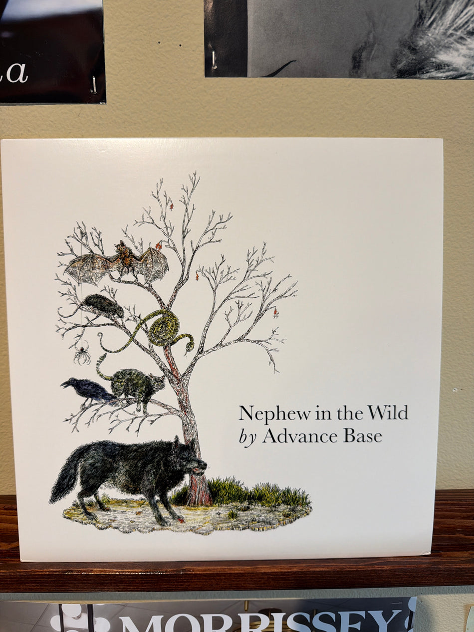 Advance Base - Nephew In The Wild