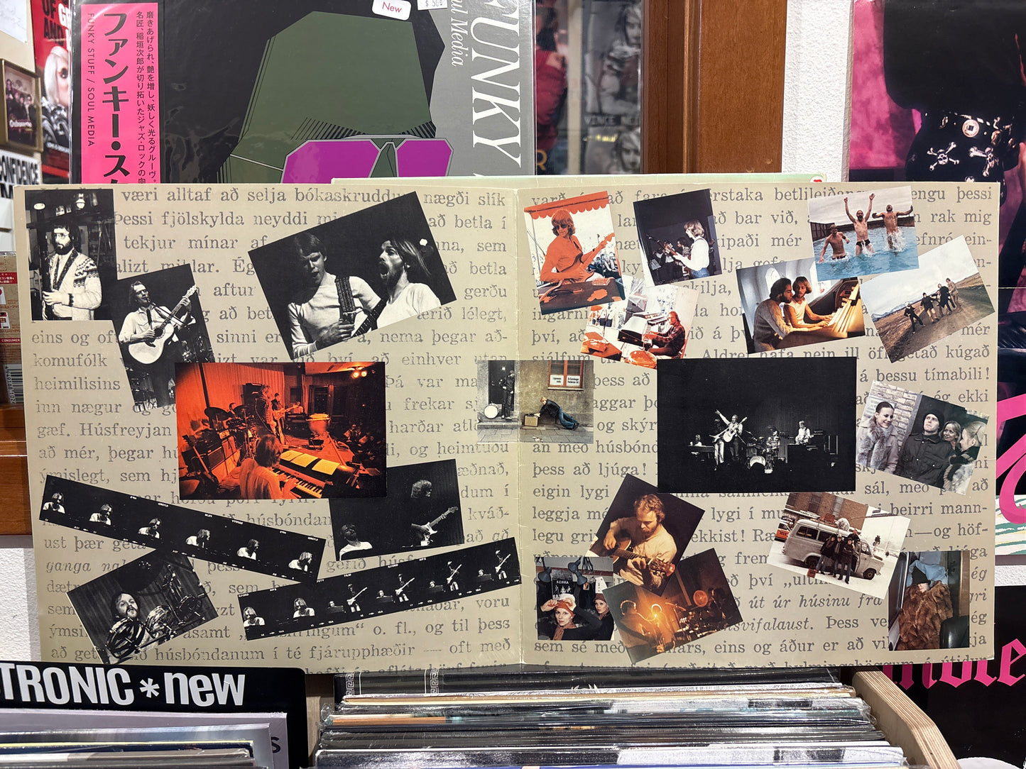 Hinn Íslenzki Þursaflokkur - Þursabit