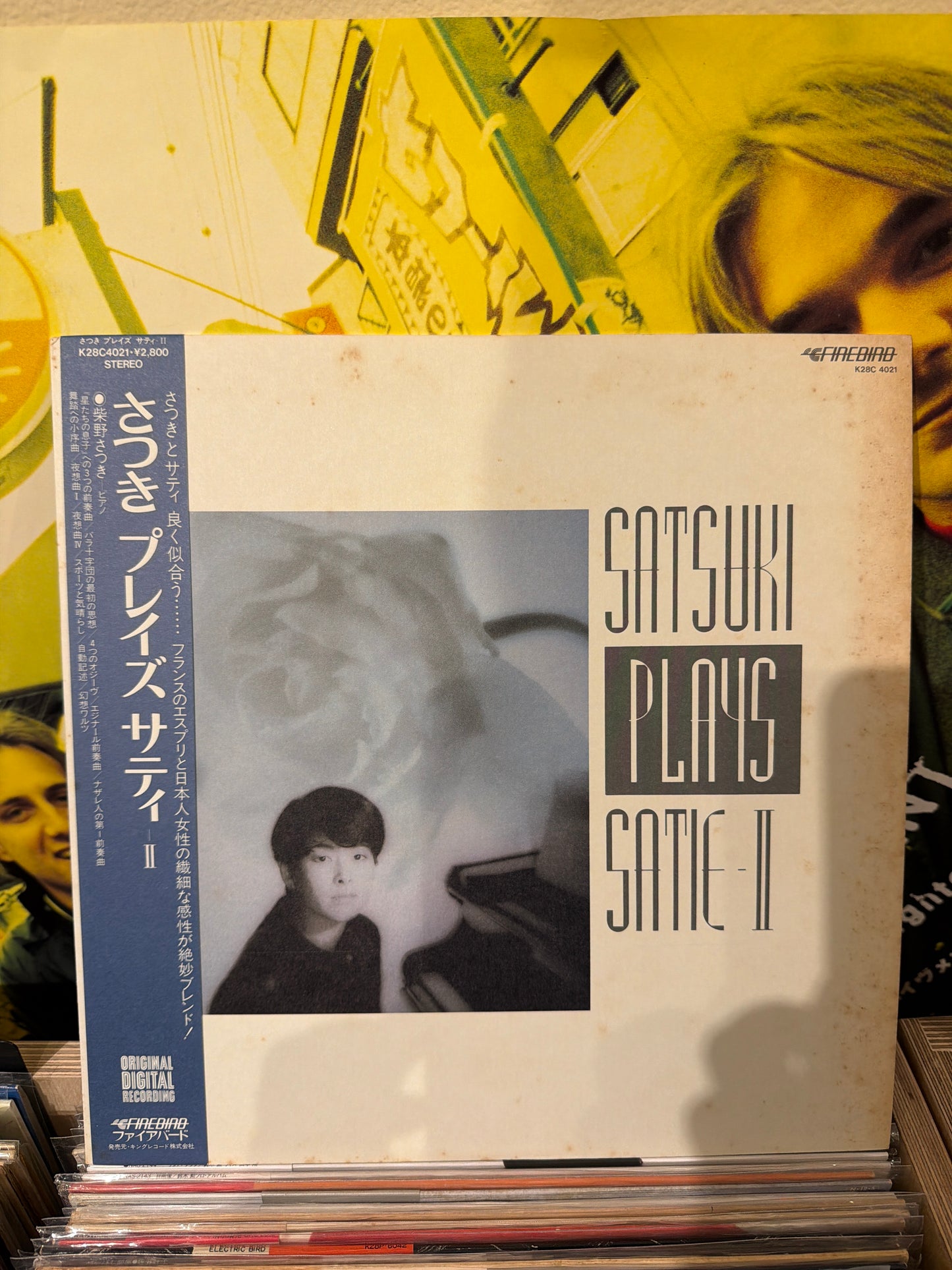 Satsuki Shibano - Satsuki Plays Satie II