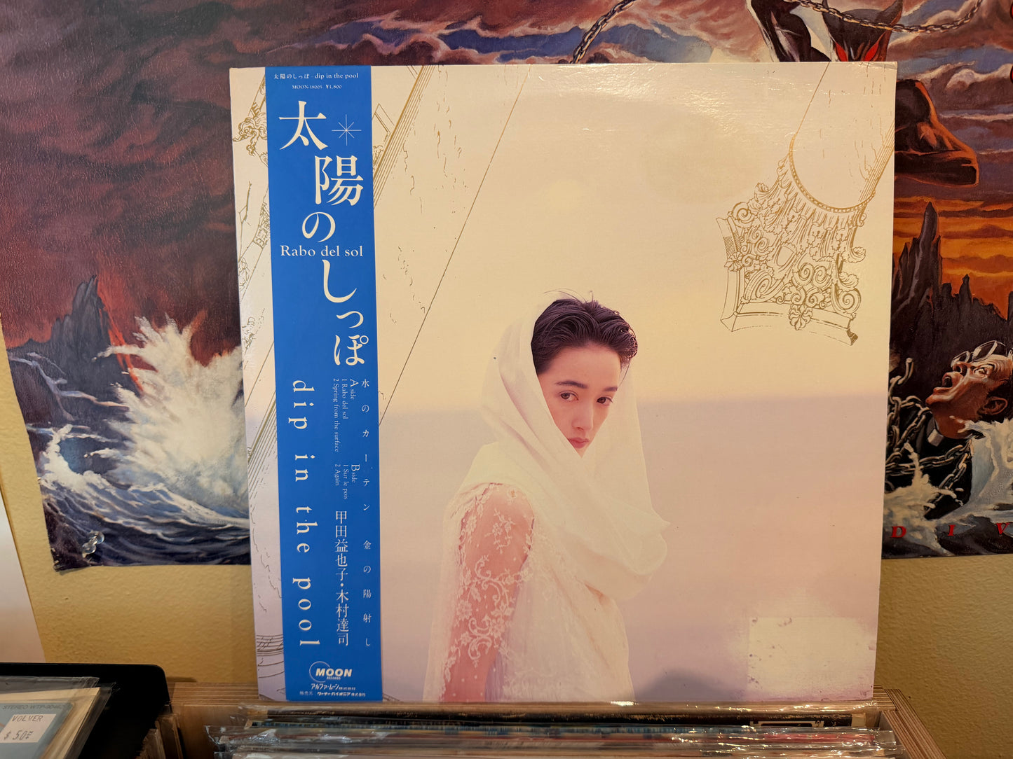 dip in the pool - Rabo del Sol Promo