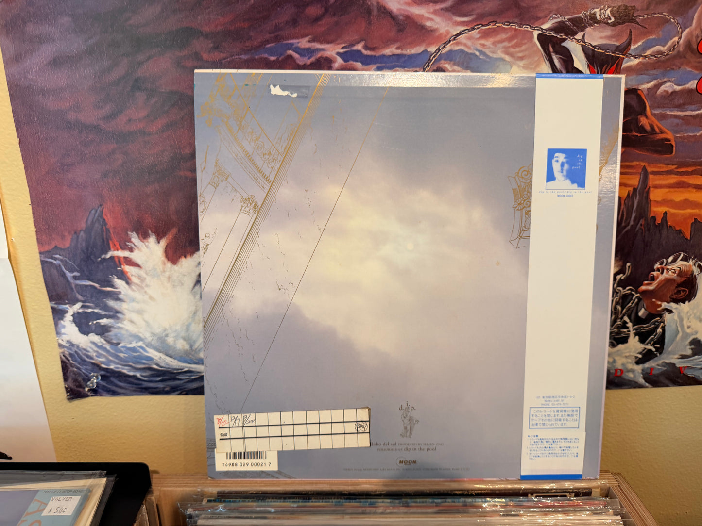 dip in the pool - Rabo del Sol Promo