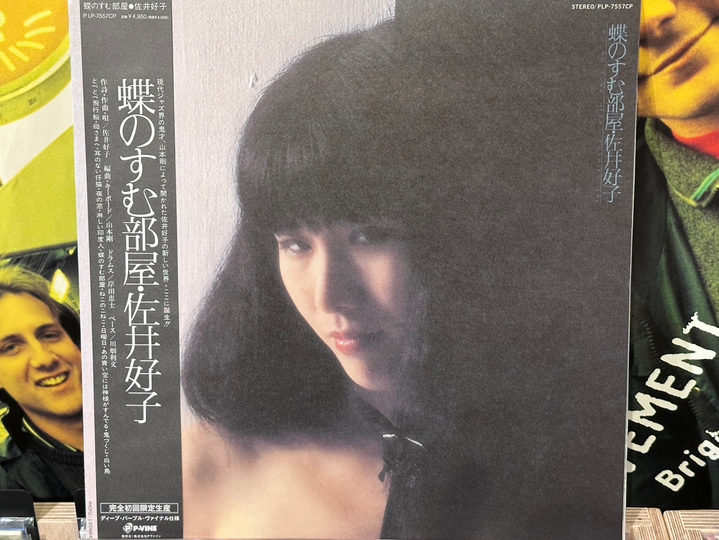 Yoshiko Sai - Chou no Sumu Heya