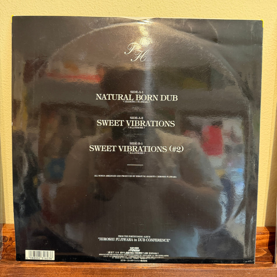Hiroshi Fujiwara - Natural Born Dub