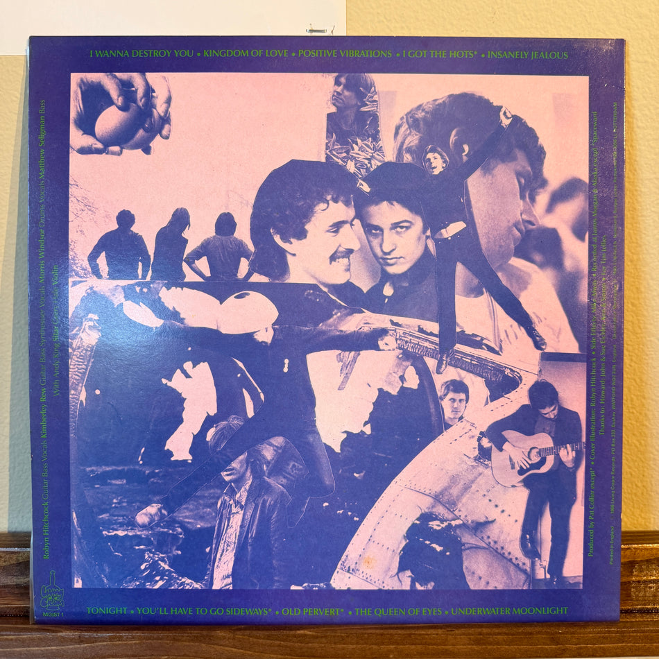 The Soft Boys - Underwater Moonlight