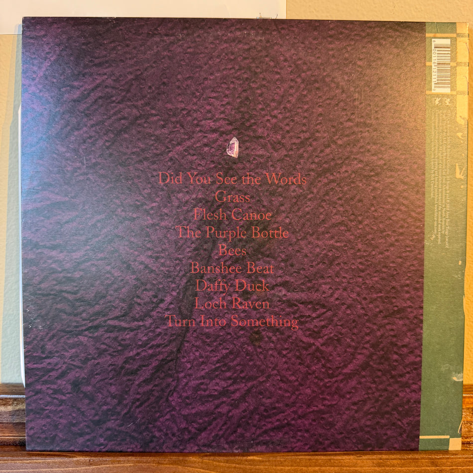 Animal Collective - Feels